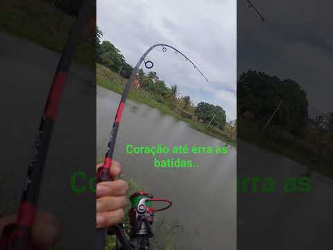 pesqueiro o veríssimo em sussuapara Piauí