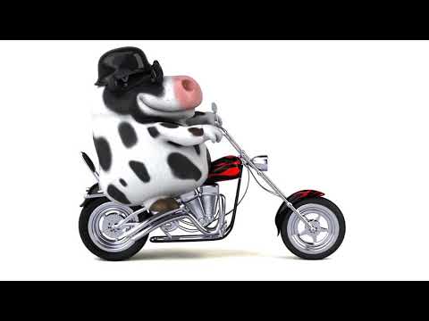 DETSKI PESNI - Motorite na Martin