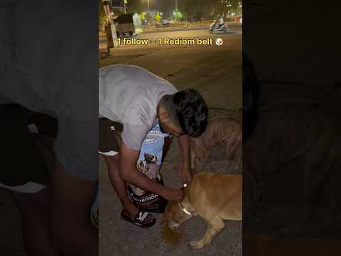 Follow us & dm ur name 🐕❤️