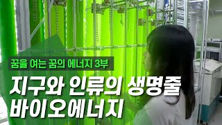 자연과 인류의 공생, 바이오에너지 [꿈을 여는 꿈의 에너지] 3부 / YTN 사이언스