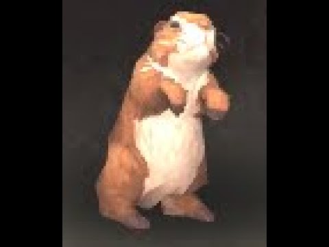 Northrend Safari: Borean Marmot Battle Pet, Borean Tundra, WoW Retail