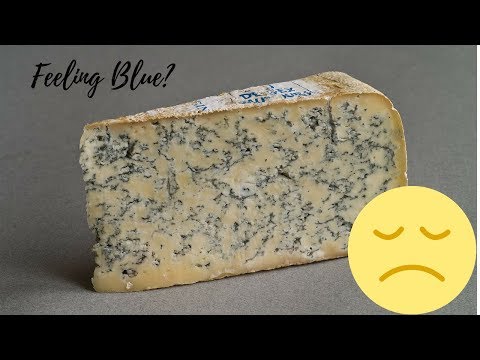 download lagu mp3 mp4 Cambozola Black Label Cheese, download lagu Cambozola Black Label Cheese gratis, unduh video klip Cambozola Black Label Cheese