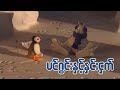ပင်ဂွင်းနှင့်နှင်းငှက် Pingu And The Abominable Snowman 