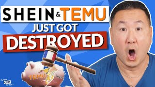 Temu & Shein Just Got Destroyed By France And It's Great News For You