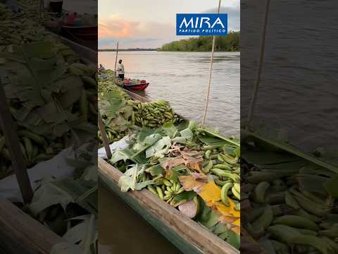 Bojayá, municipio productor de este Chocó Biogeográfico. #partidomira