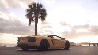 Tyga - Drive Fast Live Young (Explicit)