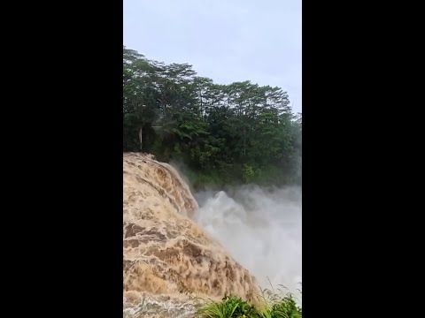 Hurricane Lala bears down on Hawaii’s Big Island