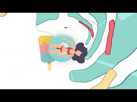 DJ Inox x Vnalogic - Paradise (Club Mix) (Official Music Video)