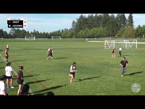 Universe Point: Riot vs. Schwa