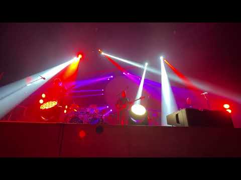 Brit Floyd ~ Pigs (Three Different Ones)