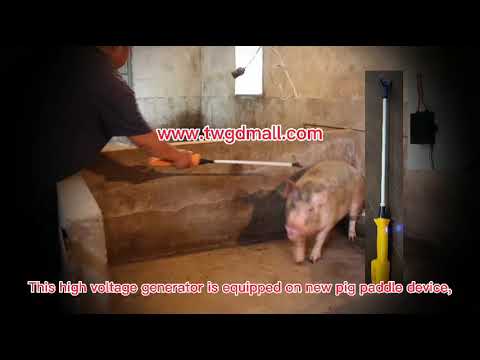 High voltage transformner for pig paddle