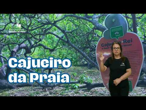 Cajueiro da Praia - Super Trunfo Cidades do Piauí (LIBRAS)