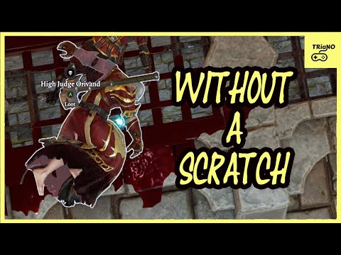 High Judge Orivand Fight (Ninja Combat Tactics) Divinity Original Sin 2