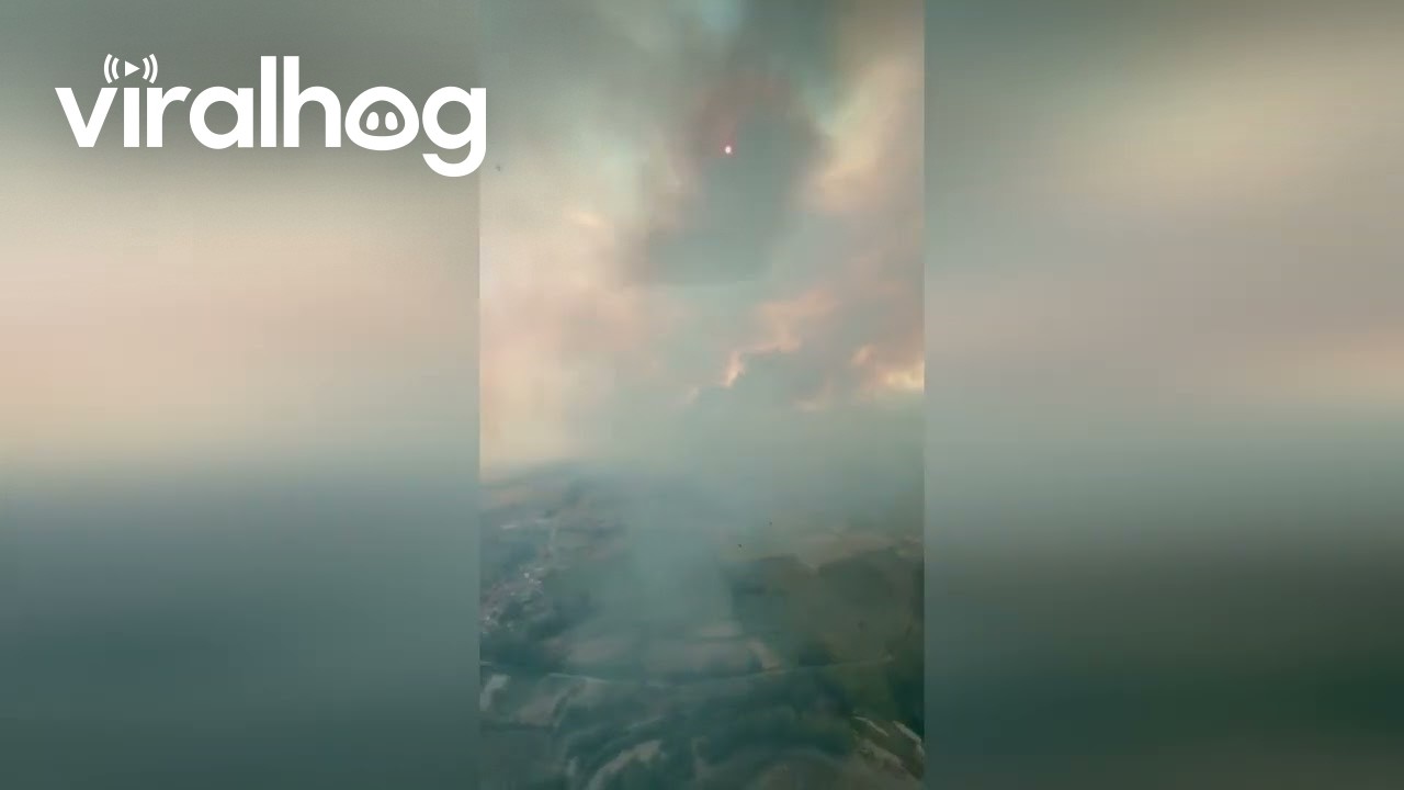 Wildfire Smoke Turns Sky Red As Helicopter Surveys Growing Blaze In Spain || ViralHog