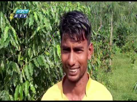 টাঙ্গাইলে বাণিজ্যিক ভিত্তিতে কফির আবাদ শুরু | ETV News