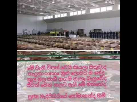 කුල මල බේද කිසිවක් මරණයට නැත#covid 19