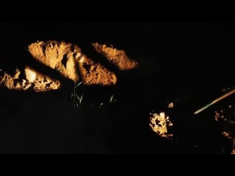 Efkey TheTola - Farzet (Official Videoklip 2016)