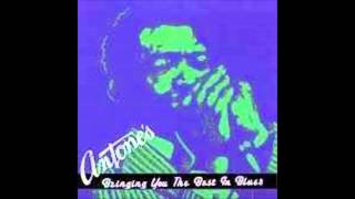 Fool in Love - Lou Ann Barton, Marcia Ball, and Angela Strehli