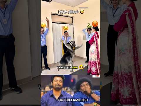 Tag your friends💥😂| Husky dog dance 🤣 @tiktoktamil360 #shorts #collegevlog #comedy #friends