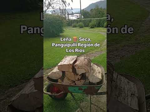 Leña Seca, Panguipulli Región de Los Ríos
