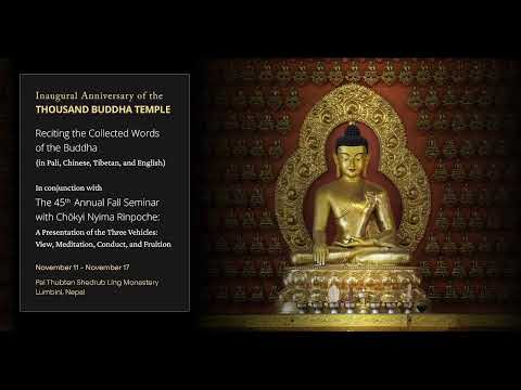 Reciting the Collected Words of the Buddha at PTSL - 2025