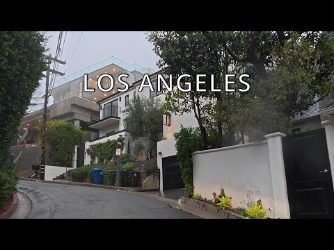 Driving In Rain, Hollywood Hills, Los Angeles