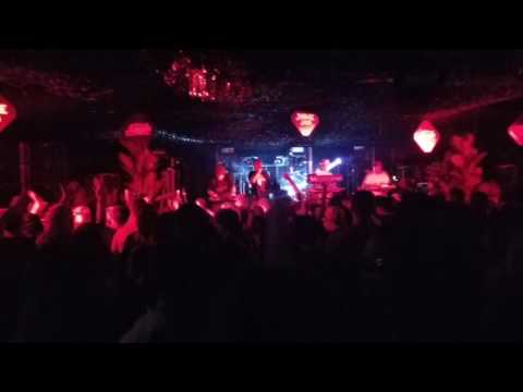 New Zealand shapeshifter @ hospital at the dock 2017