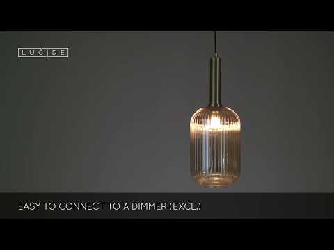 Lucide 45386/20/62 - Chandelier on a string MALOTO 1xE27/40W/230V d. 20 cm