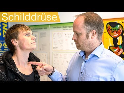 Schilddrüsenunterfunktion 💤 Symptome, Untersuchung, Behandlung