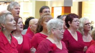 Victoria Soul Gospel Choir sings Bridge Over Troubled Water HD