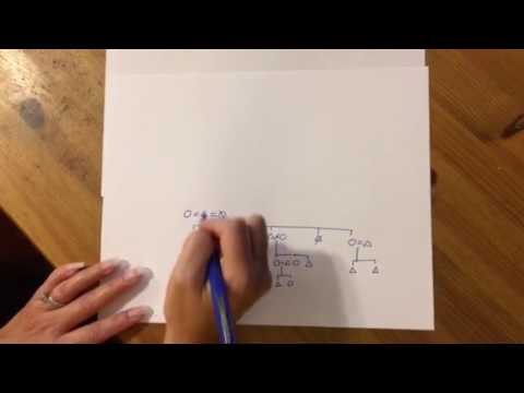 Making your family kinship chart