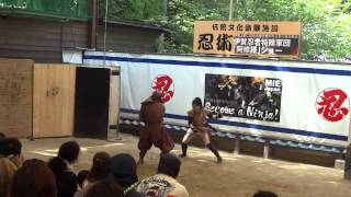 preview picture of video 'Iga Ueno ninja show 3'