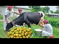 Milk Mango Flattened Rice Traditional Summer Food For Physically Challenged Special People