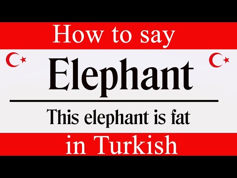 Learn Turkish & How To Say "Elephant" in Turkish | Learn Turkish Language