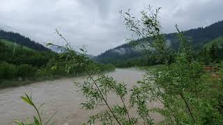 rain-and-the-river-in-carpathian-mountains