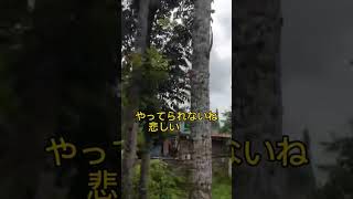 2023年10月11日