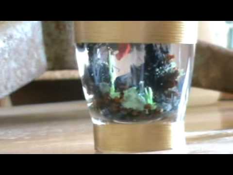 Gimnazija 'Stevan Jakovljevic', Vlasotince