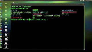How to Extract a tar.gz file in the Linux Terminal