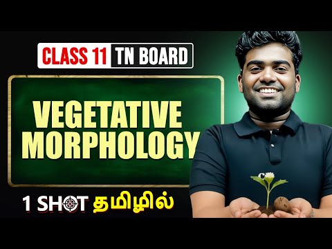 VEGETATIVE MORPHOLOGY in One Shot | BOTANY in Tamil | Class 11 TN Board
