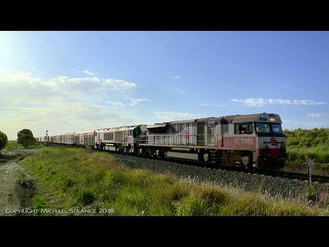 SCT 6PM9 With New PQQY Wagons - PoathTV Australian Trains & Railways