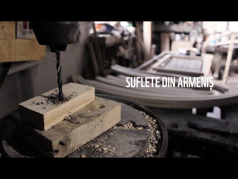 Suflete din Armeniș - Ioan Boștioca