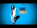 David Lindley - Mercury Blues