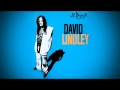 David Lindley - Mercury Blues 