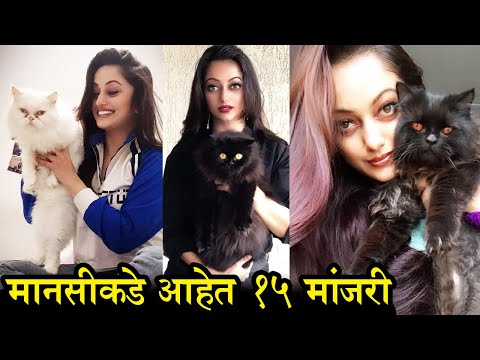 मानसी नाईकच्या १५ मांजरांसोबत International Cat Day | चार दिवस सासूचे | Glamorous Marathi Actress