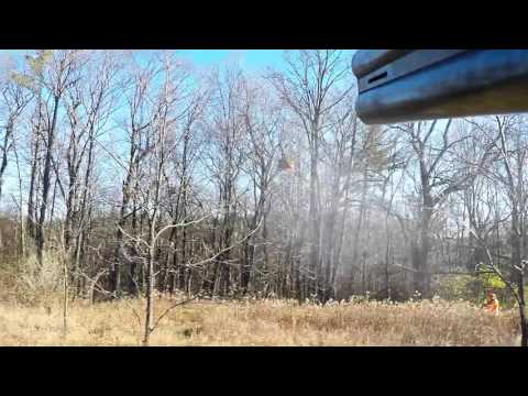 Pheasant Hunting 2015-11-20 Slow Motion