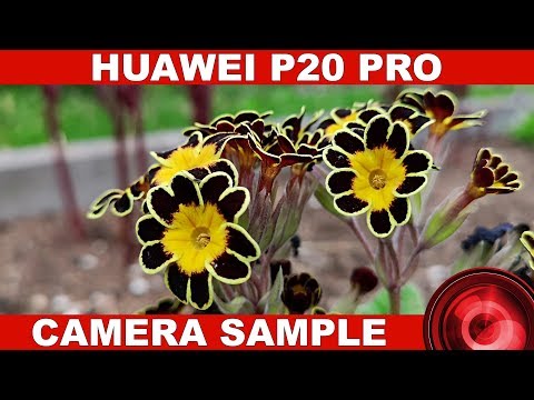 Huawei P20 Pro Camera Review