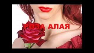 ���� ����