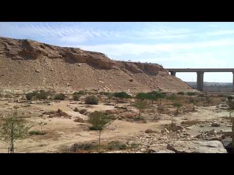 Wadi Hanifa 2012