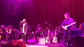 Ziggy Marley Love is a rebel