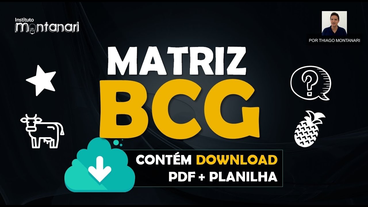 Matriz BCG: o que é? Como funciona a Matriz BCG?